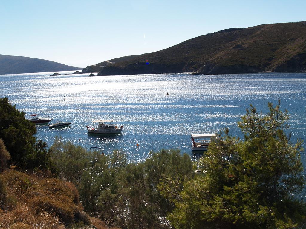 Pegasus Studios & Apartments Skyros Buitenkant foto