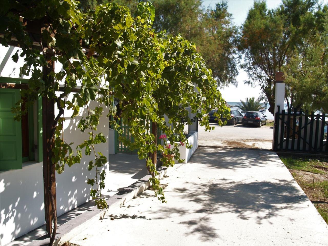 Pegasus Studios & Apartments Skyros Buitenkant foto